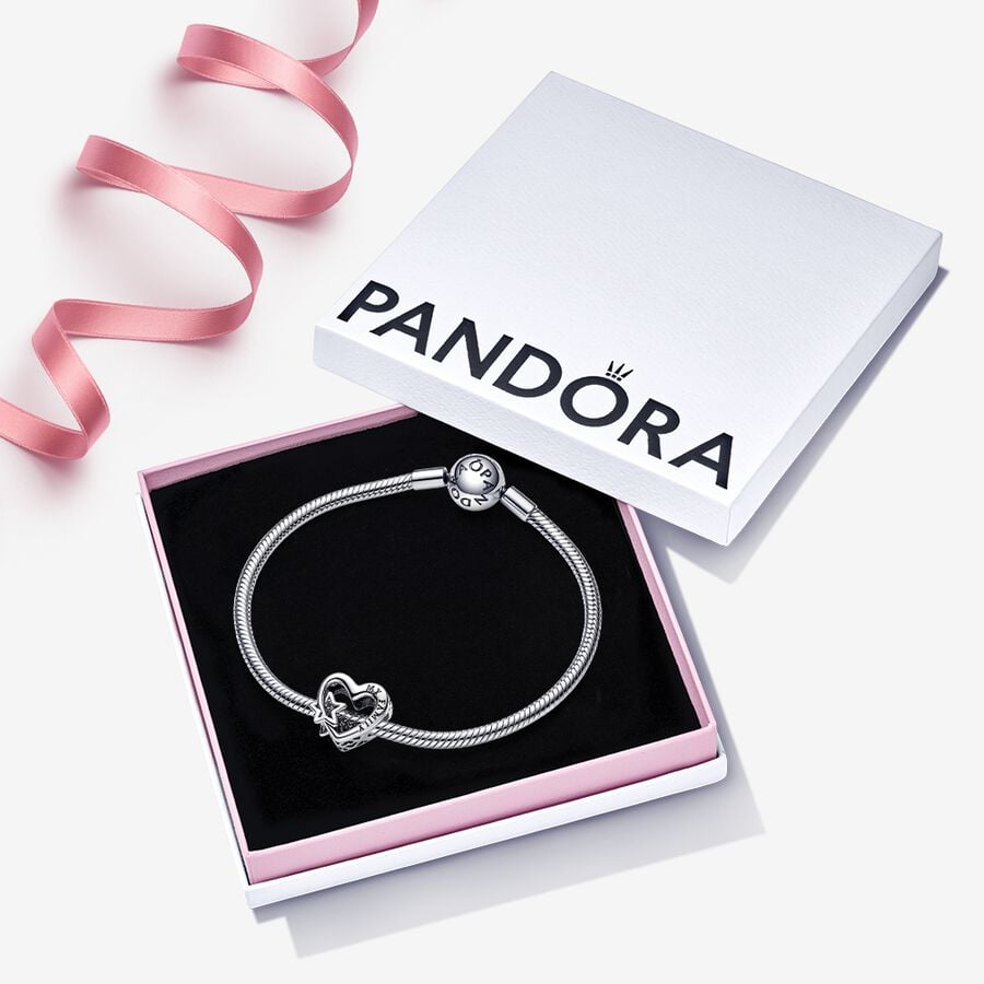 Pandora Universe Charm and Bracelet Set