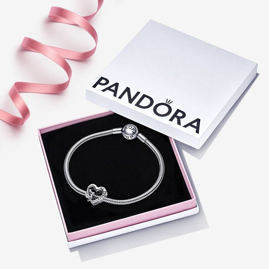 Pandora Universe Charm and Bracelet Set