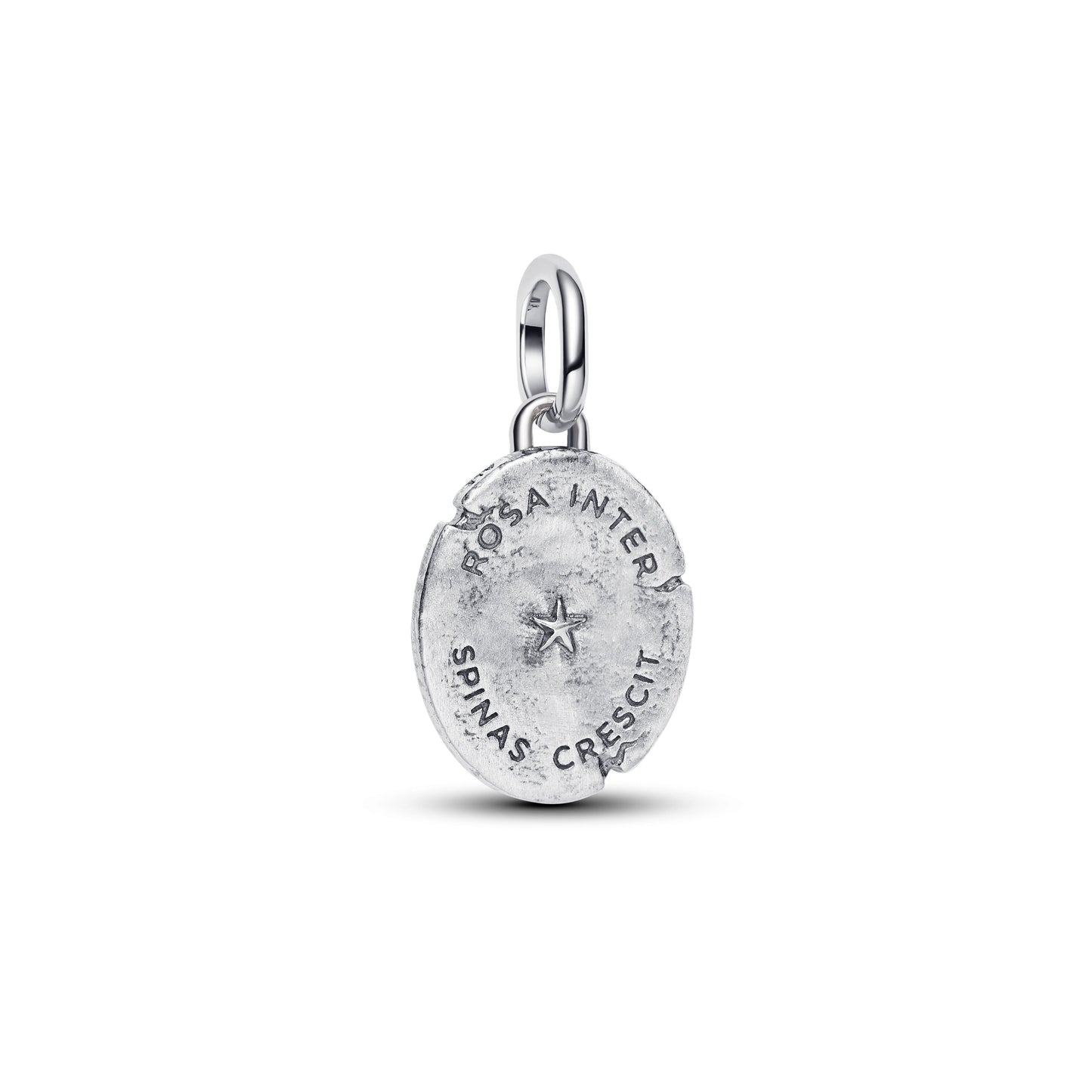 Pandora Rose Medallion Charm