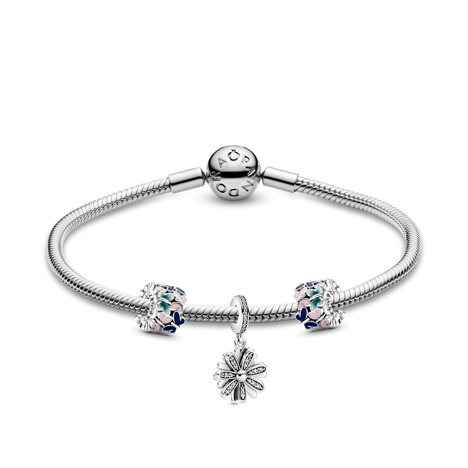 Pandora Inspired by Nature Bracelet and Charms Bundle Set